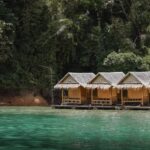 Regenerative Tourism