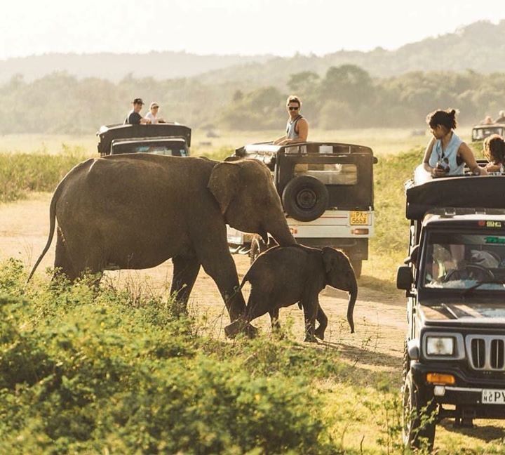Discover Colombo and Sri Lanka's Coastal Beauty