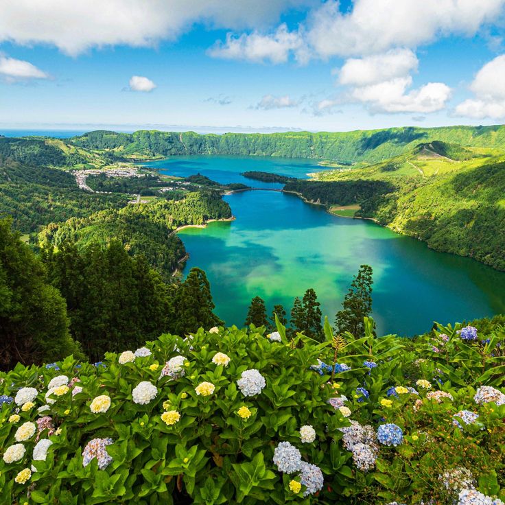 Discover the Natural Beauty of Portugal Islands